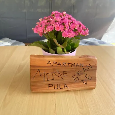 Apartment Monte Grande